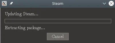 steam launching window on linux