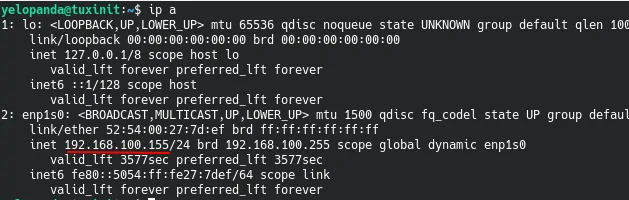 ip a command to fetch ip address